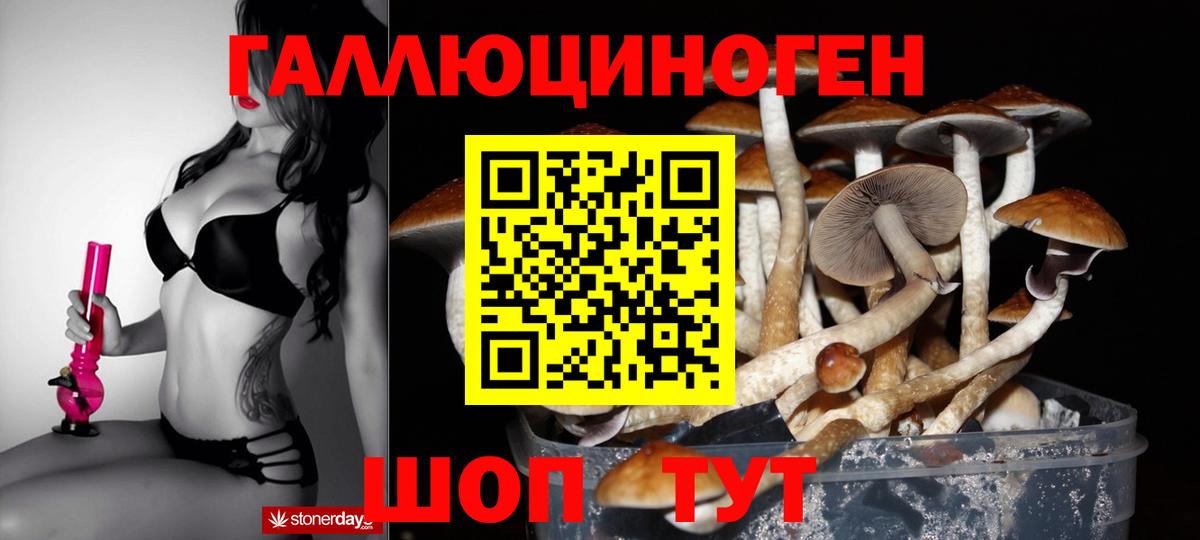 Псилоцибиновые грибы MAGIC MUSHROOMS  сколько стоит  Казань  Вход с VPN 
